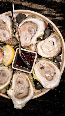 Fallen Feather by null