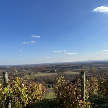 Bluemont Vineyard - Venues & Event Spaces Near Me - Bluemont, Virginia Bluemont Vineyard - Venues & Event Spaces Near Me - Bluemont, Virginia