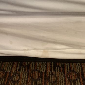 Hotel XOLA - Dirty box spring...so gross - Hotels Near Me - Moreno Valley, California Hotel XOLA - Dirty box spring...so gross - Hotels Near Me - Moreno Valley, California