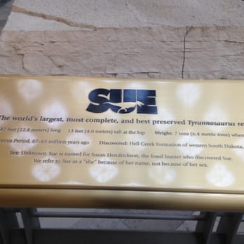 Field Museum - Museums Near Me - Chicago, Illinois Field Museum - Museums Near Me - Chicago, Illinois