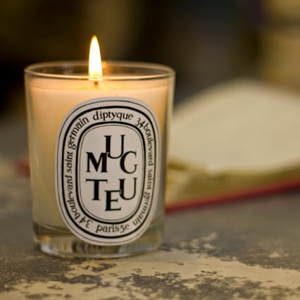 Pied Nu Logo