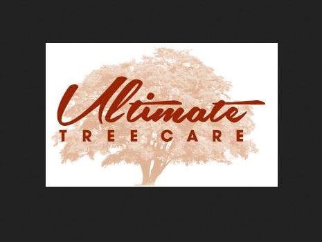 Ultimate Tree Care - Tim Hackney - tree service in Austin, TX
