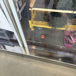 Lidl - Dirty floor. Fruit on floor under garden containers, 3rd visit with same items.