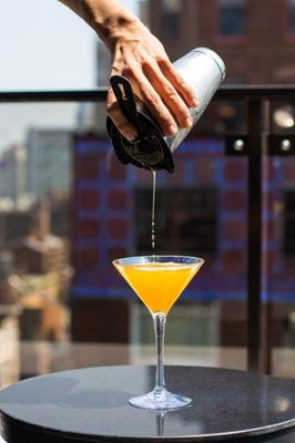 Penthouse on Park by null