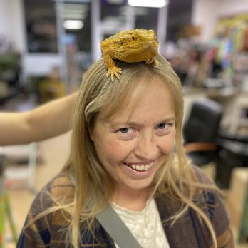 Scales & Tails Utah - A Bearded Dragon is on a persons head. - Petting Zoos Near Me - Kearns, Utah Scales & Tails Utah - A Bearded Dragon is on a persons head. - Petting Zoos Near Me - Kearns, Utah