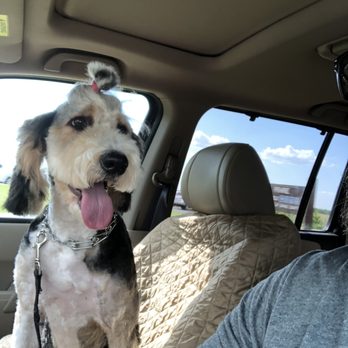 The UpScale Tail Pet Grooming - Naperville - Pet Groomers Near Me - Naperville, Illinois