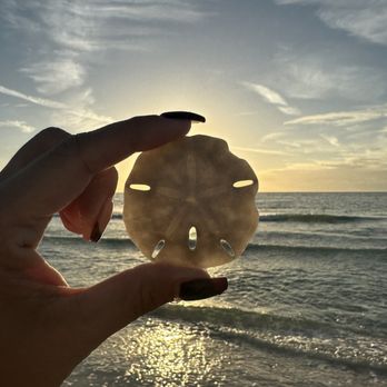 Monaco Vacation Rentals - Vacation Rentals Near Me - Clearwater, Florida Monaco Vacation Rentals - Vacation Rentals Near Me - Clearwater, Florida