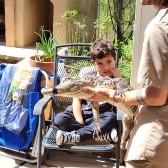 Jurassic Parties - Alley gator - Party & Event Planning Near Me - Fountain Valley, California Jurassic Parties - Alley gator - Party & Event Planning Near Me - Fountain Valley, California