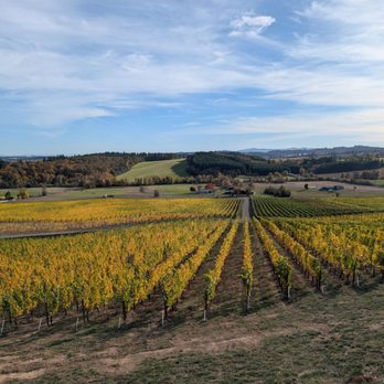 Illahe Vineyards - The view from the tasting room. - Wineries Near Me - Dallas, Oregon