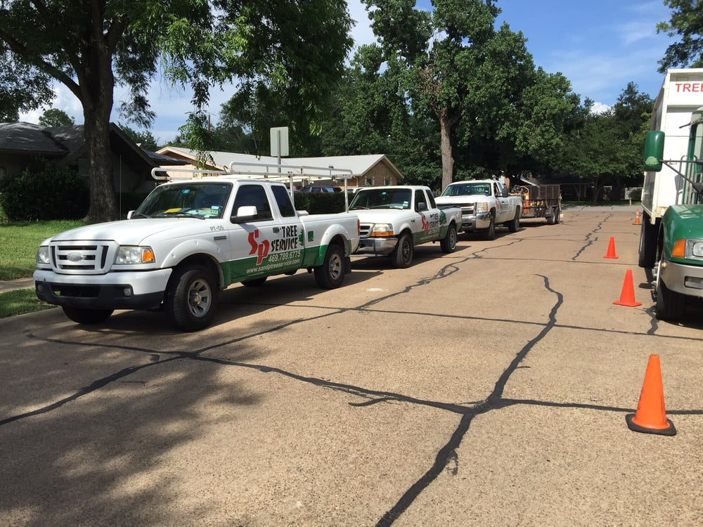 S&P Tree Service - tree service in Grand Prairie, TX
