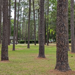 Fulwood Park - Fulwood Park, Tifton