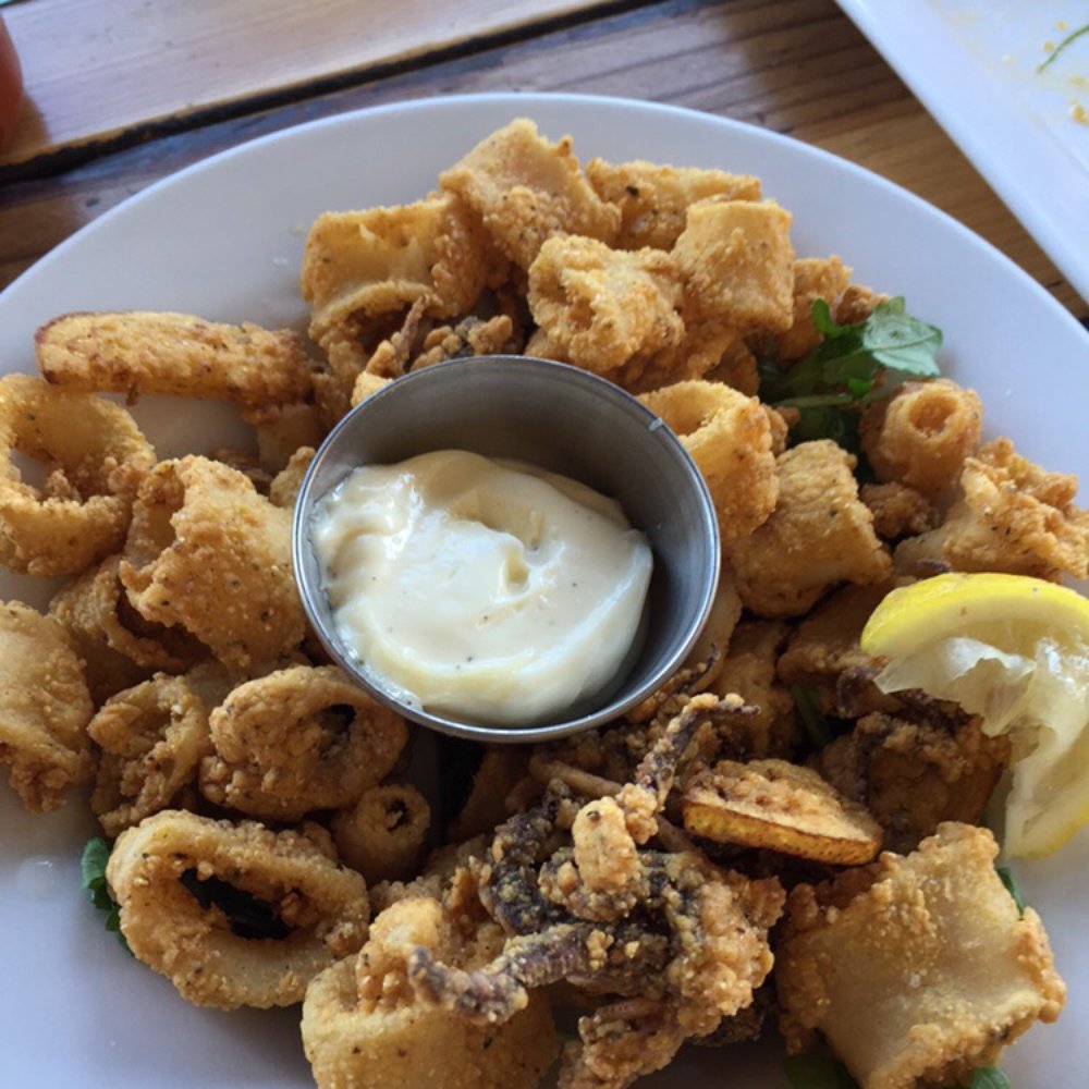 Fish 101 - Calamari - Seafood Near Me - Encinitas, California