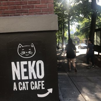 NEKO: A Cat Cafe - Outside - Themed Cafes Near Me - Seattle, Washington NEKO: A Cat Cafe - Outside - Themed Cafes Near Me - Seattle, Washington