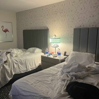 Flamingo Las Vegas - 2 queen Habitat room - Hotels Near Me - Las Vegas, Nevada Flamingo Las Vegas - 2 queen Habitat room - Hotels Near Me - Las Vegas, Nevada