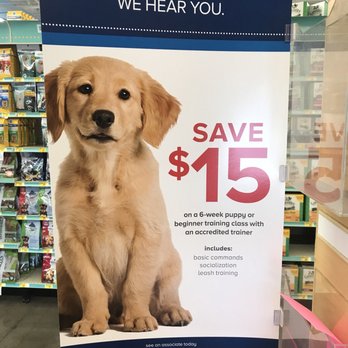 PetSmart Doggie Day Camp - Puppy class - Pet Stores Near Me - Phoenix, Arizona