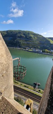 Rheinstein Castle by null