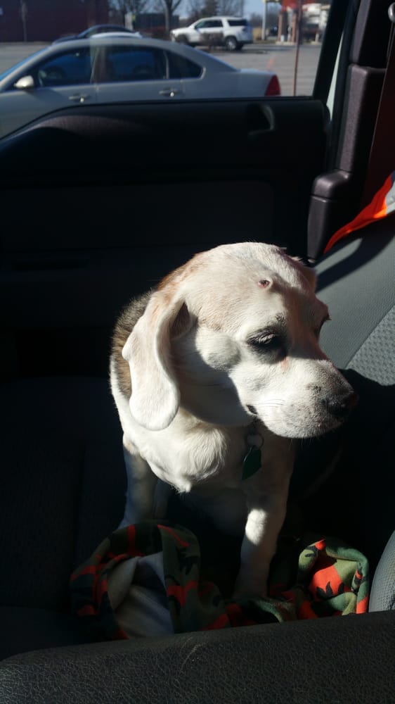 She S Not Happy Unless She S Taking Her Human Shopping At Feeders
