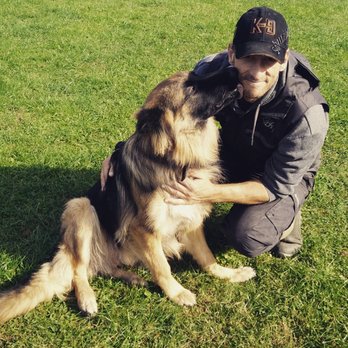 Platinum K9 - Pet Training Near Me - Shipley Heanor, LEC