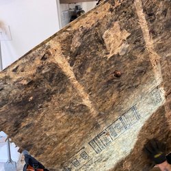 Hart Homes - More black mold