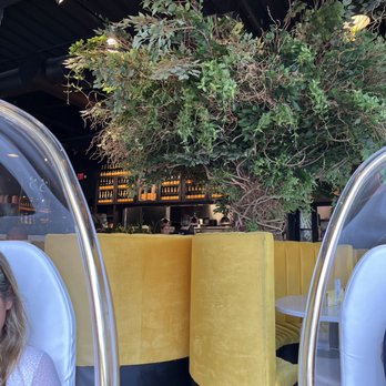 The Place 2 Be - There's a tree inside - Breakfast & Brunch Near Me - West Hartford, Connecticut The Place 2 Be - There's a tree inside - Breakfast & Brunch Near Me - West Hartford, Connecticut