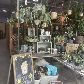 Mojave Bloom Nursery - Home Decor Near Me - Las Vegas, Nevada Mojave Bloom Nursery - Home Decor Near Me - Las Vegas, Nevada