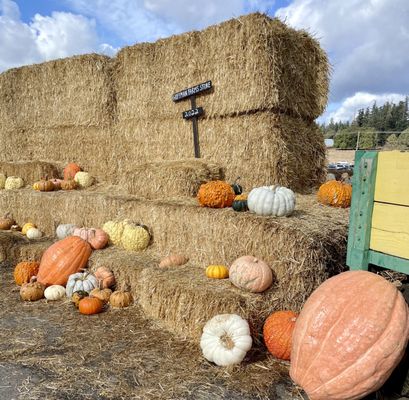 Hoffman Farms Store by null