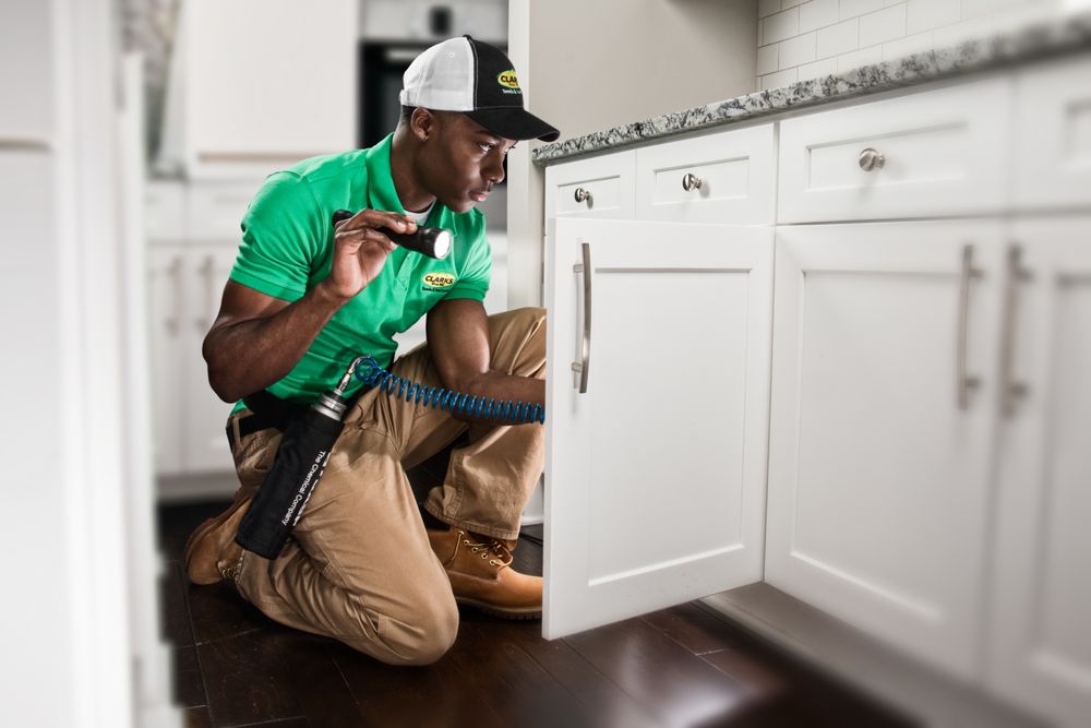 Clark's Termite and Pest Control - veterans service organization in Irmo, SC