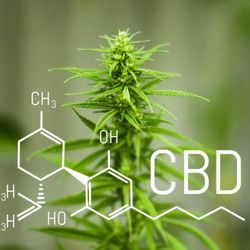 CBD American Shaman of East Richardson - Richardson cbd cream