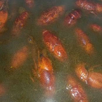 Jimbo's Seafood - Crawfish still a cooking in that pot . - Seafood Markets Near Me - Baton Rouge, Louisiana Jimbo's Seafood - Crawfish still a cooking in that pot . - Seafood Markets Near Me - Baton Rouge, Louisiana