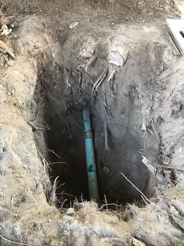 Slide of All About Rooter