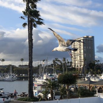 Oceanside Adventures - Oceanside Harbor. - Boat Charters Near Me - Oceanside, California Oceanside Adventures - Oceanside Harbor. - Boat Charters Near Me - Oceanside, California