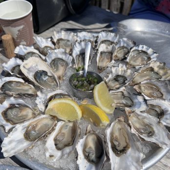 Hog Island Oyster - Oysters - Seafood Near Me - Marshall, California Hog Island Oyster - Oysters - Seafood Near Me - Marshall, California