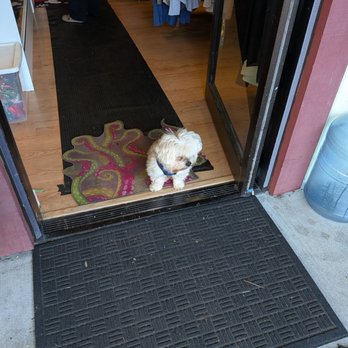 The Revibe Shop - Best little greeter - Thrift Stores Near Me - Benicia, California The Revibe Shop - Best little greeter - Thrift Stores Near Me - Benicia, California