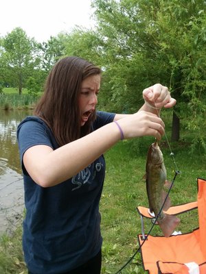 Northern Fauquier Community Park by null