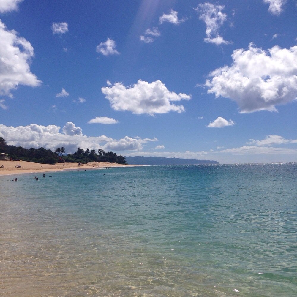 Ehukai Beach Park - Parks Near Me - Haleiwa, Hawaii Ehukai Beach Park - Parks Near Me - Haleiwa, Hawaii