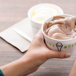 Frozen Custard Cups