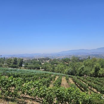 Hidden Meadows Vineyard - Photo of a vineyard from the terrace - Wine Tasting Room Near Me - Escondido, California Hidden Meadows Vineyard - Photo of a vineyard from the terrace - Wine Tasting Room Near Me - Escondido, California