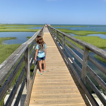 Grays Beach - Very similar to the marshy bird sanctuary in Stone Harbor NJ - Beaches Near Me - Yarmouth, Massachusetts