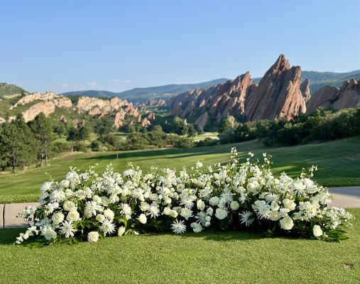 Bee & Pollen by null