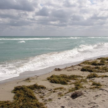 Hollywood Beach - Beaches Near Me - Hollywood, Florida