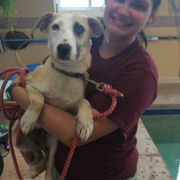 Some pictures of Amanda and Tully learning how to swim. Loved the progress and the positive reinforcement!!