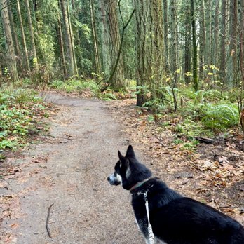 Alljoy 4 Paws - Exploring the great outdoors! - Community Service/Non-Profit Near Me