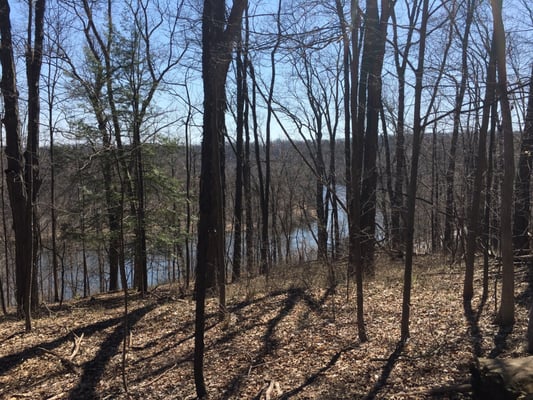 Bird Hills Nature Area by null