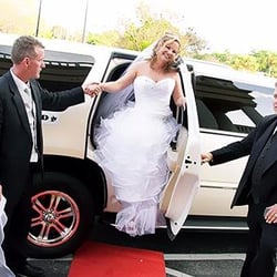 Michael's Limousine Services - Wedding Limo