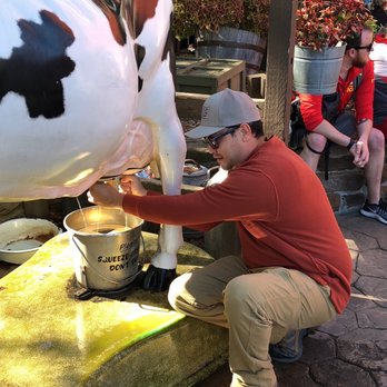 Silver Dollar City - Milking experience - Amusement Parks Near Me - Branson, Missouri Silver Dollar City - Milking experience - Amusement Parks Near Me - Branson, Missouri