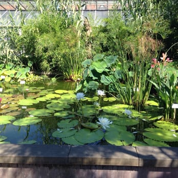 Schlossgarten u. Botanischer Garten - Botanischer Garten - Cafes Near Me