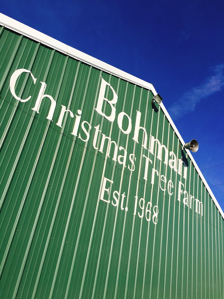 BOHMAN CHRISTMAS TREE FARM Updated July 2024 11 Photos 9966 E