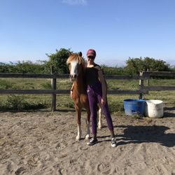 Riverside Equestrian Centre
