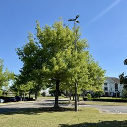 The Shoppes At East Chase