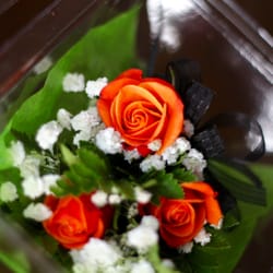 Village Garden Shoppe - (c) moriah rachele photography  Corsage designed by VGS Fall 2015